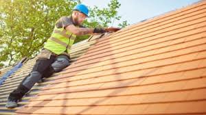 Best Steel Roofing  in Paw Paw Lake, MI