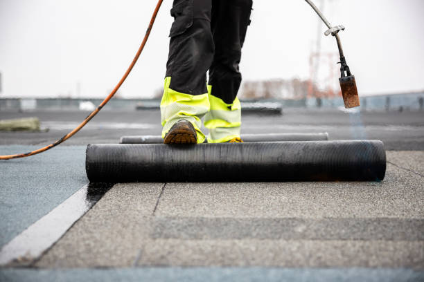 Best Sheet Metal Roofing  in Paw Paw Lake, MI
