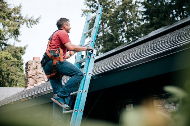 Fast & Reliable Emergency Roof Repairs in Paw Paw Lake, MI