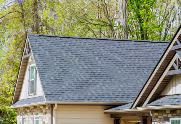Best Roof Insulation Installation  in Paw Paw Lake, MI